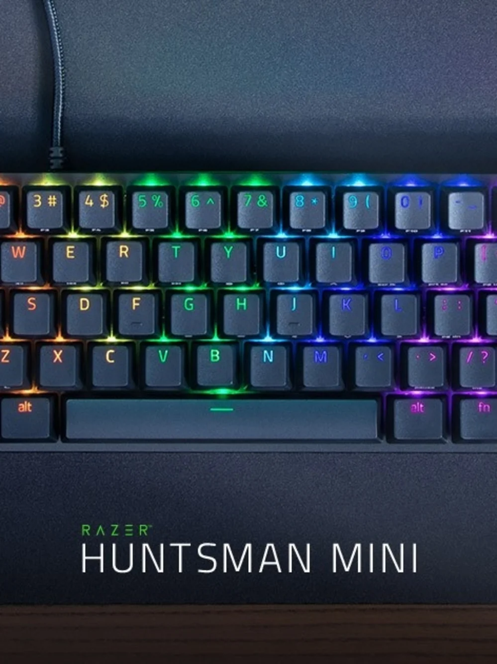 Razer Black Compact RGB Tenkeyless Mechanical Keyboard